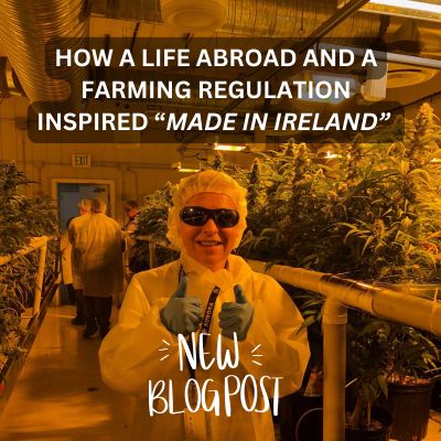 HOW LIVING ABROAD INSPIRED "MADE IN IRELAND"